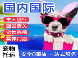 大同机场空运国际宠物托运 【国